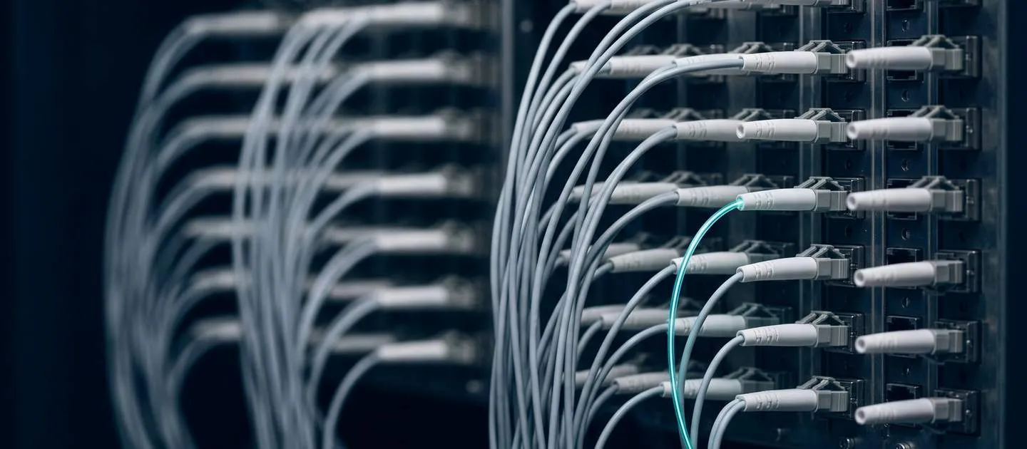 Fiber cables connected to a distribution panel; one of them carries the signal